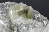 Calcite Crystal Cluster with Marcasite - Iowa #176029-4